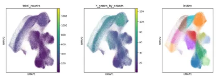 抽出されたデータを用いたクラスタリングPCA・UMAP・近傍グラフの作成