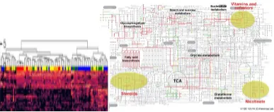 新たな分節化データを加えることによって空間解析をより高度化します